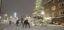 Kerstboom Maasstraat Sneeuw 2017