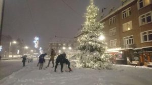 Kerstboom Maasstraat Sneeuw 2017